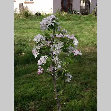 Driftwood Country Apartment