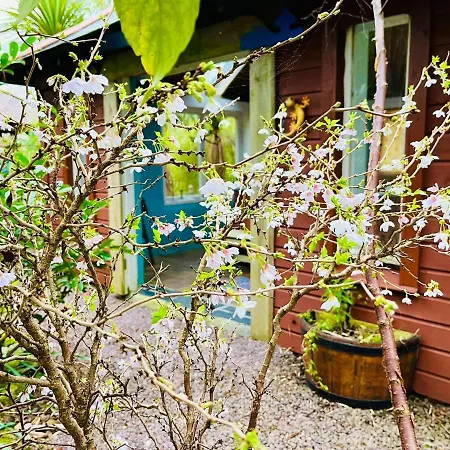 Driftwood Country * Skibbereen