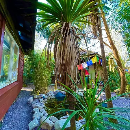 Driftwood Country