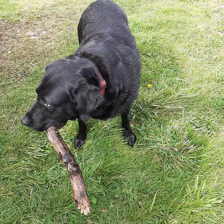 Driftwood Country سكيبيرين