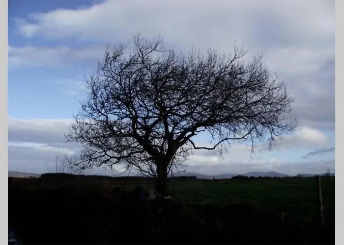 Driftwood Country * Skibbereen