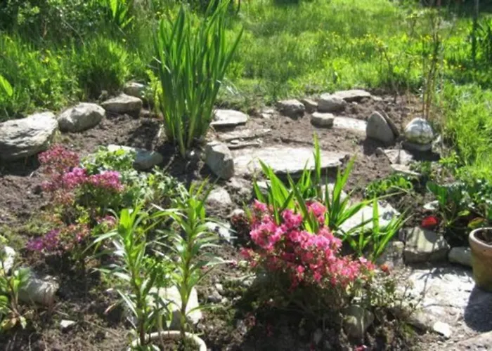 Apartment Driftwood Country *