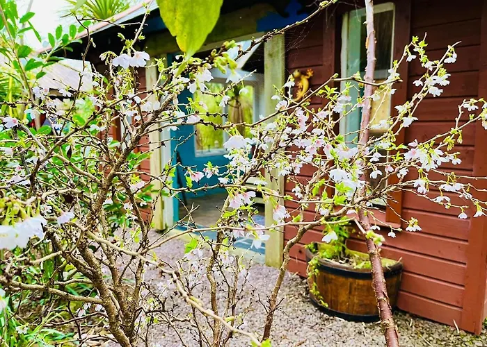 Driftwood Country * Skibbereen