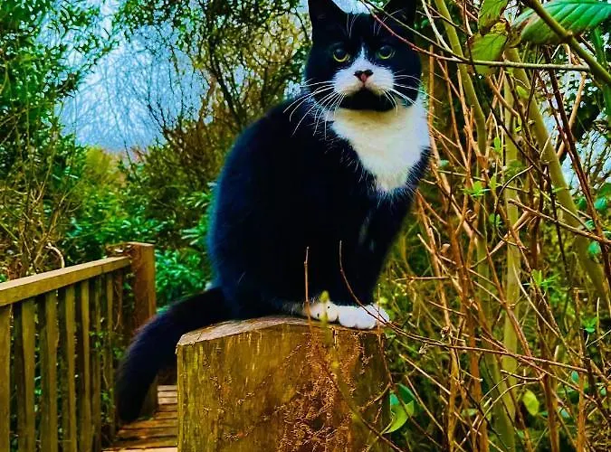 Apartment Driftwood Country